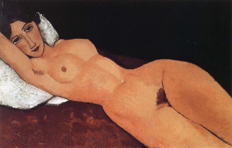 Amedeo Modigliani Reclining nude Norge oil painting art
